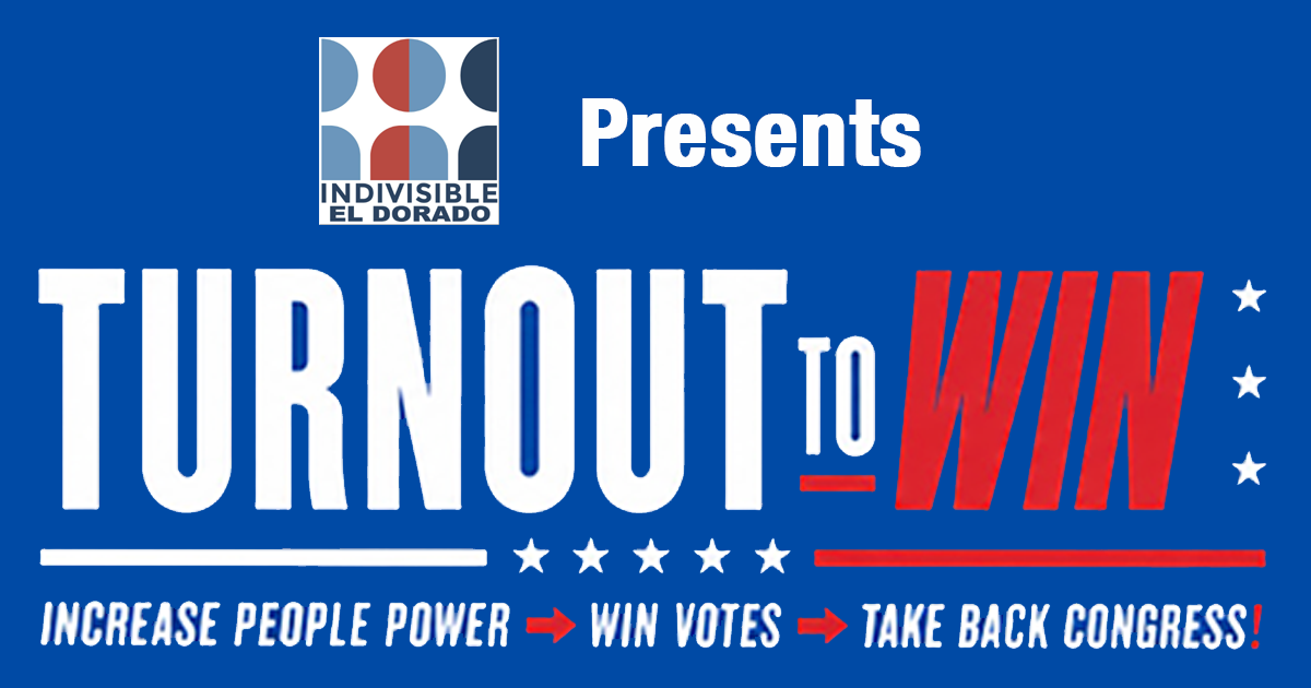 Turn Out to Win campaign banner
